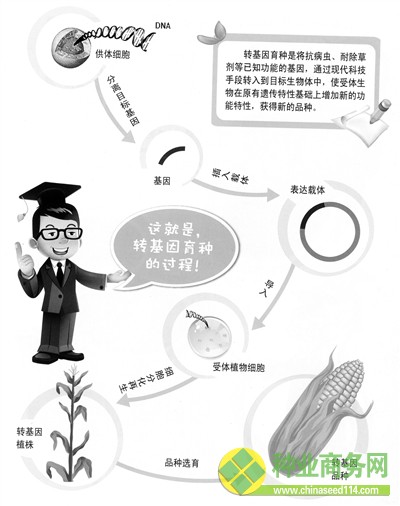 生物育种技术：转变农业生产方式的关键(图)