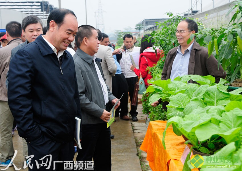 嘉宾在八桂田园参观交流（见习记者廖小圆/摄）