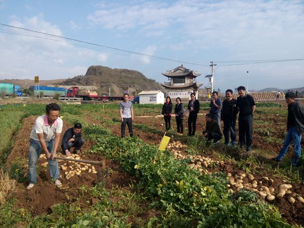 图片其版权均归原作者所有，未经许可严禁转载或建立镜像，如需转载，请与作者或本站联系