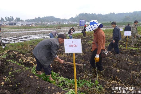 图片其版权均归原作者所有，未经许可严禁转载或建立镜像，如需转载，请与作者或本站联系