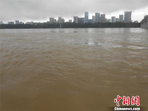 强降雨夜袭广西柳州致农田被泡 多处路段交通受阻