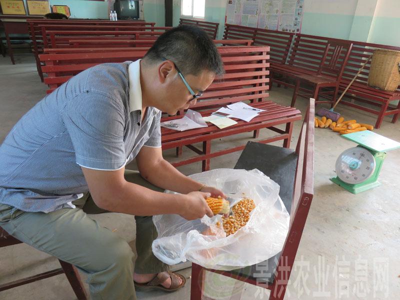 图片其版权均归原作者所有，未经许可严禁转载或建立镜像，如需转载，请与作者或本站联系