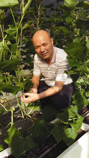 肖建成 浙江美之奥种业股份有限公司 董事长兼总经理 杭州市种子商会执行会长