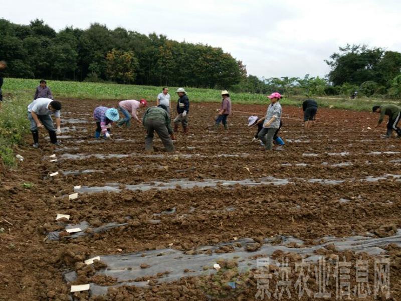 图片其版权均归原作者所有，未经许可严禁转载或建立镜像，如需转载，请与作者或本站联系