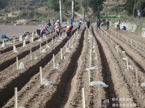 图片其版权均归原作者所有，未经许可严禁转载或建立镜像，如需转载，请与作者或本站联系