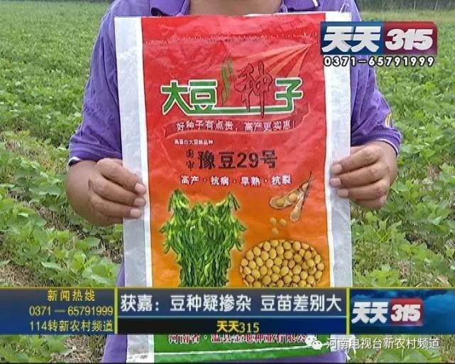 新乡一老农种黄豆遇闹心事 豆苗高低参差开花也不一样