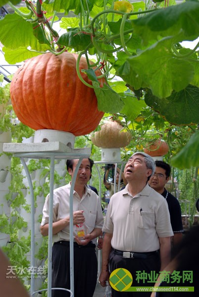 种子搭乘神八太空历炼返回西部航天育种基地