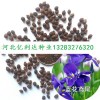 我处紧急求购优质兰花茑尾种子