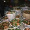 桂林哪里买质量硬的水果塑料箩筐——塑料箩筐厂家