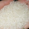 四川天红酒业常年求购大米、碎米