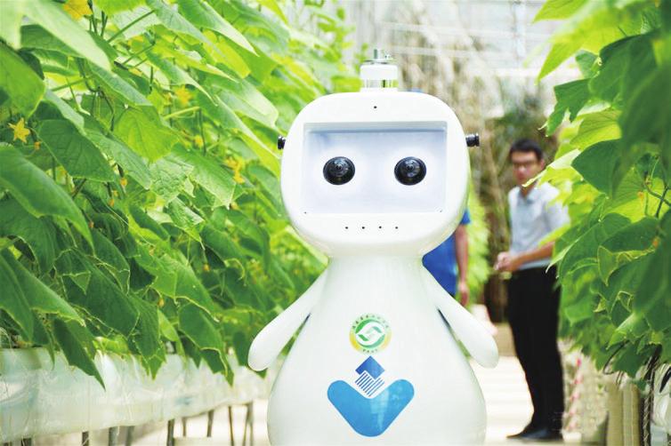 迈向 无人农场 福建发布人工智能农业机器人 要闻 资讯 种业商务网