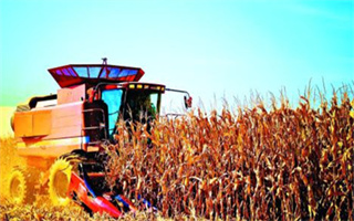 黑龙江省2022年审定玉米、水稻、大豆、小麦品种