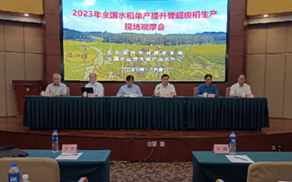 全国水稻单产提升暨超级稻生产现场观摩会在广西南宁举办