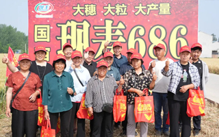 布局新赛道，迈向新征程！河南省现代种业“现麦686”强势进军小麦种业产业